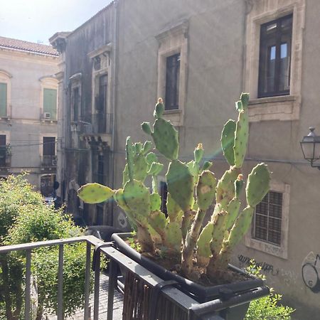 Aita Domus Διαμέρισμα Κατάνια Εξωτερικό φωτογραφία